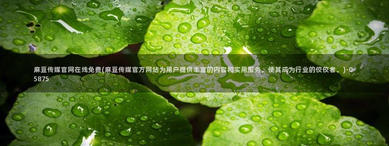 麻豆传媒官网在哪里:麻豆传媒官网在线免费(麻豆传媒官方网站为用户提供丰富的内容和实用服务,使其成为行业的佼佼者。)